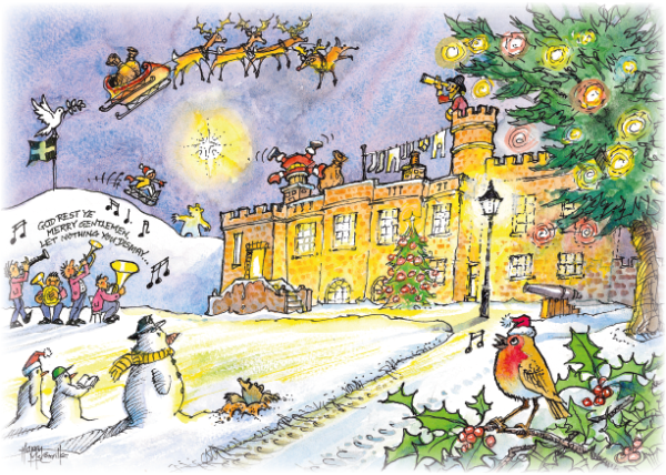 Assorted Bude Christmas Cards - Image 9
