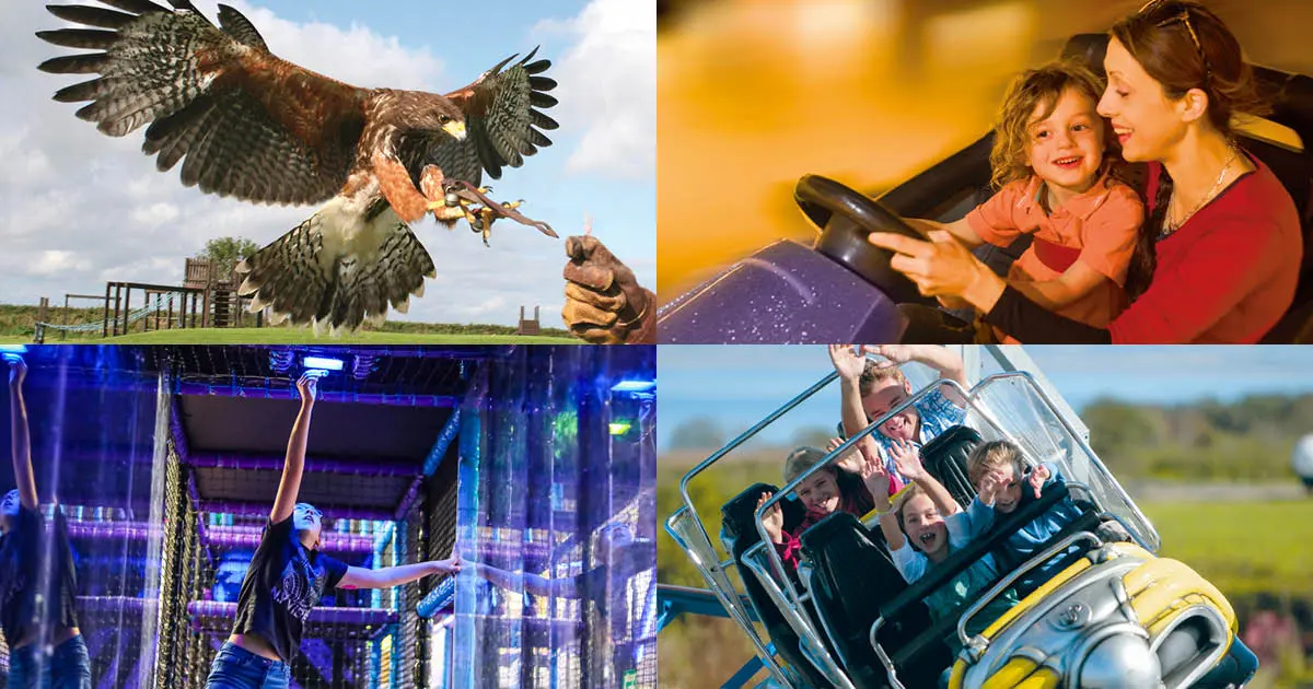 North Devon Family Attraction Wins Tripadvisor’s Coveted Best of the Best Award for the 10th Year in a Row!