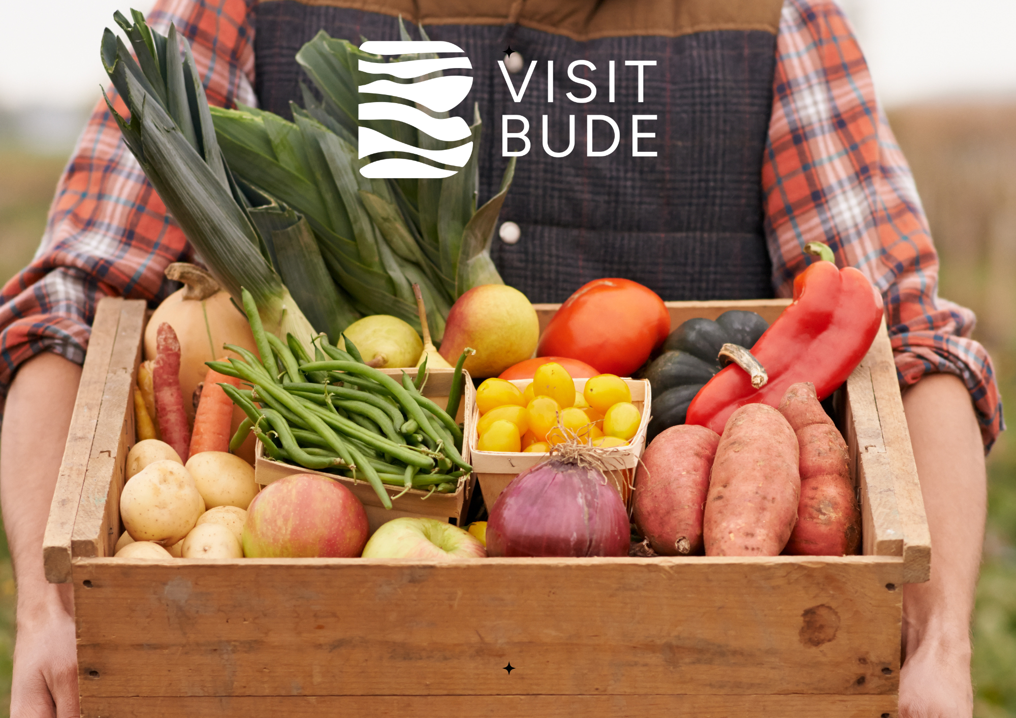 Best Farm Shops and Garden Centres near Bude