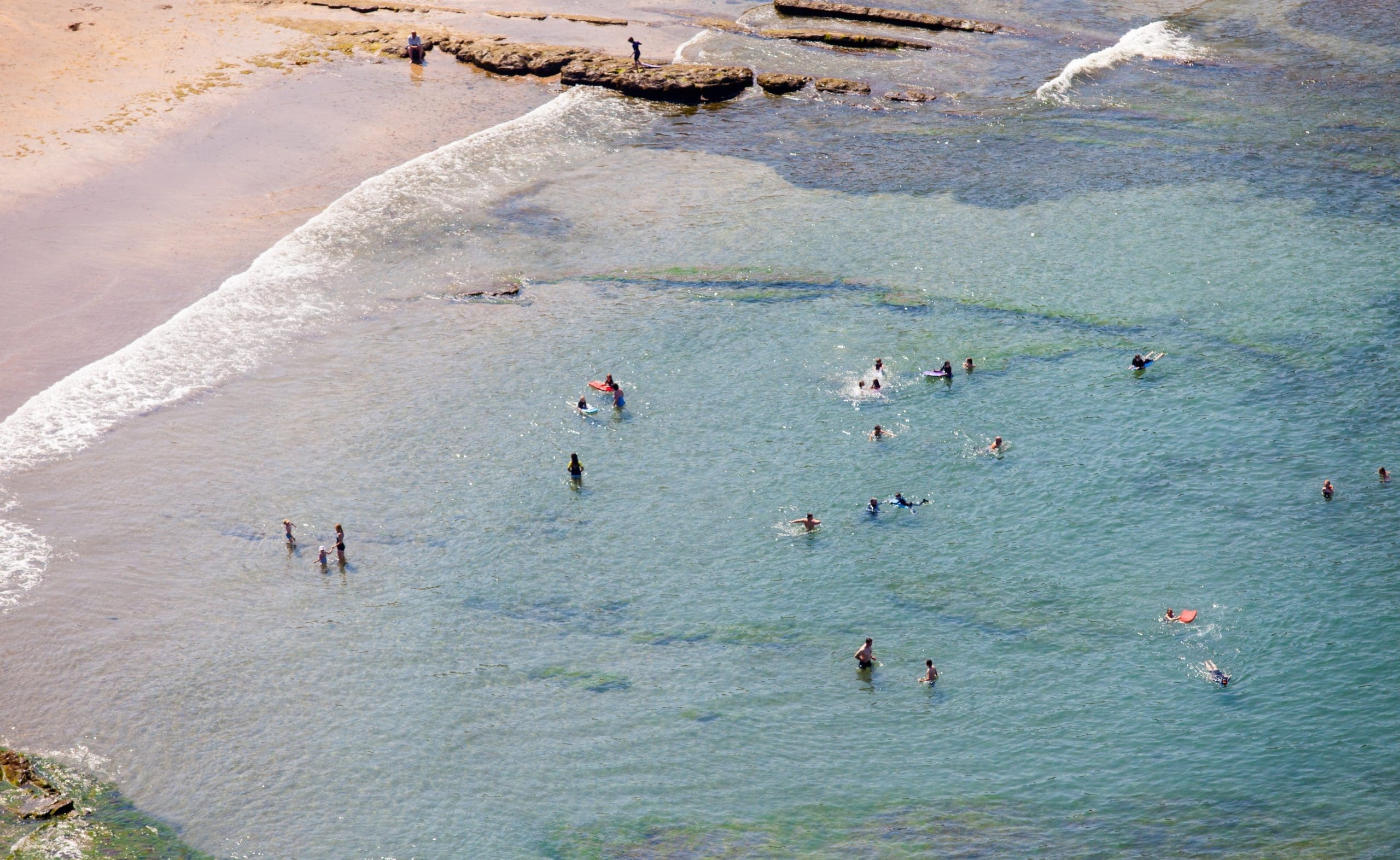 Dog Friendly Attractions