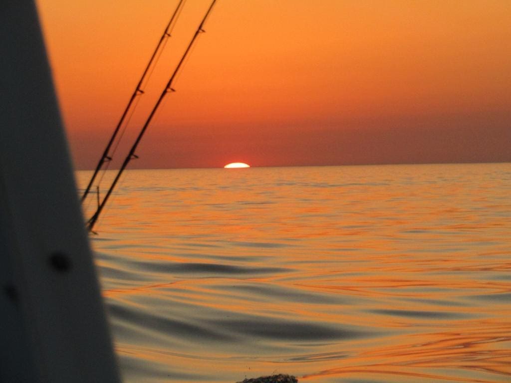 Independent Charters - Sea Fishing and Sightseeing Trips