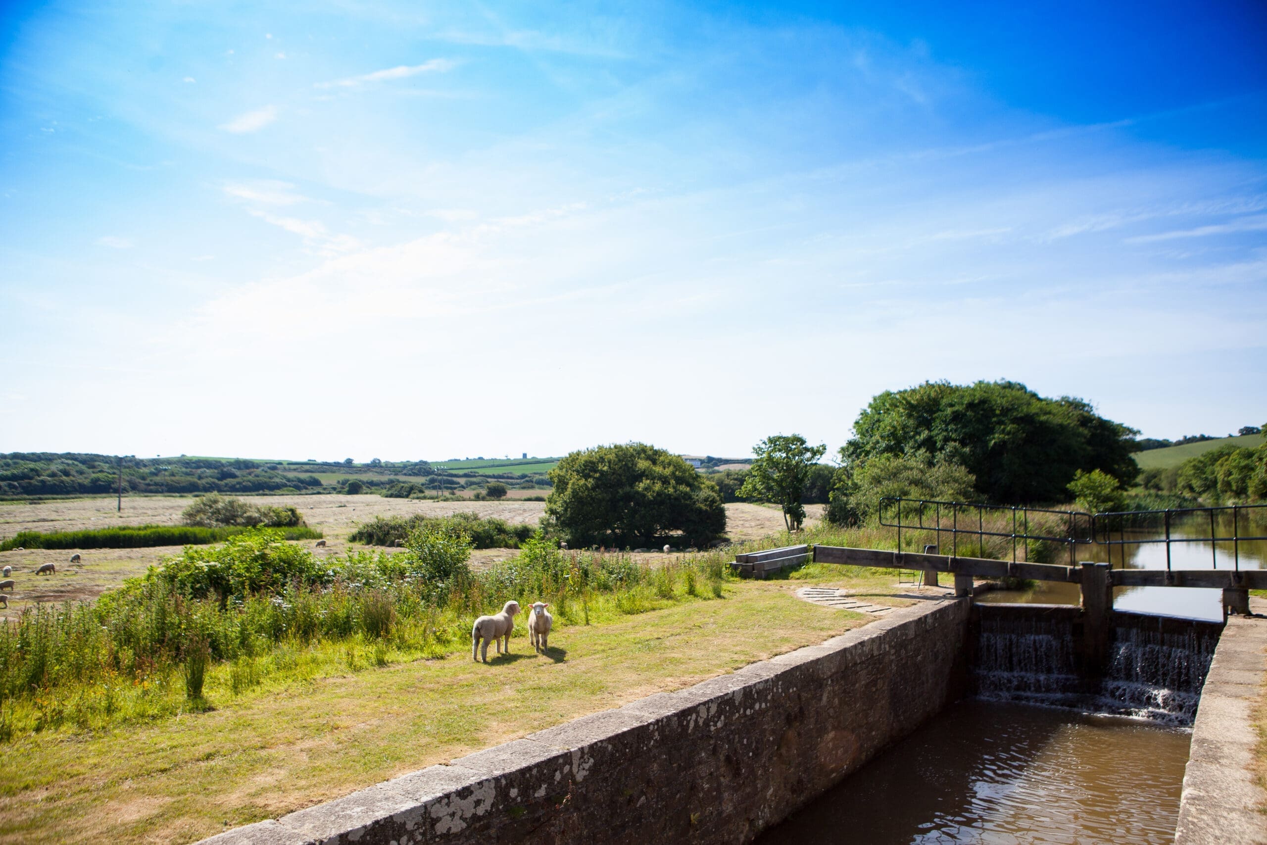 Bude to Widemouth Bay