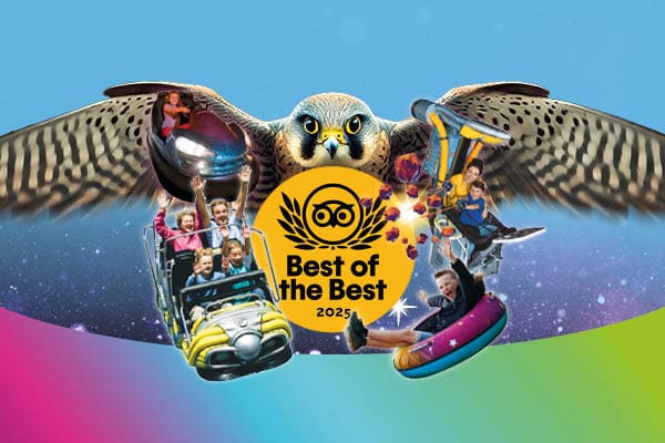 The Milky Way Adventure Park