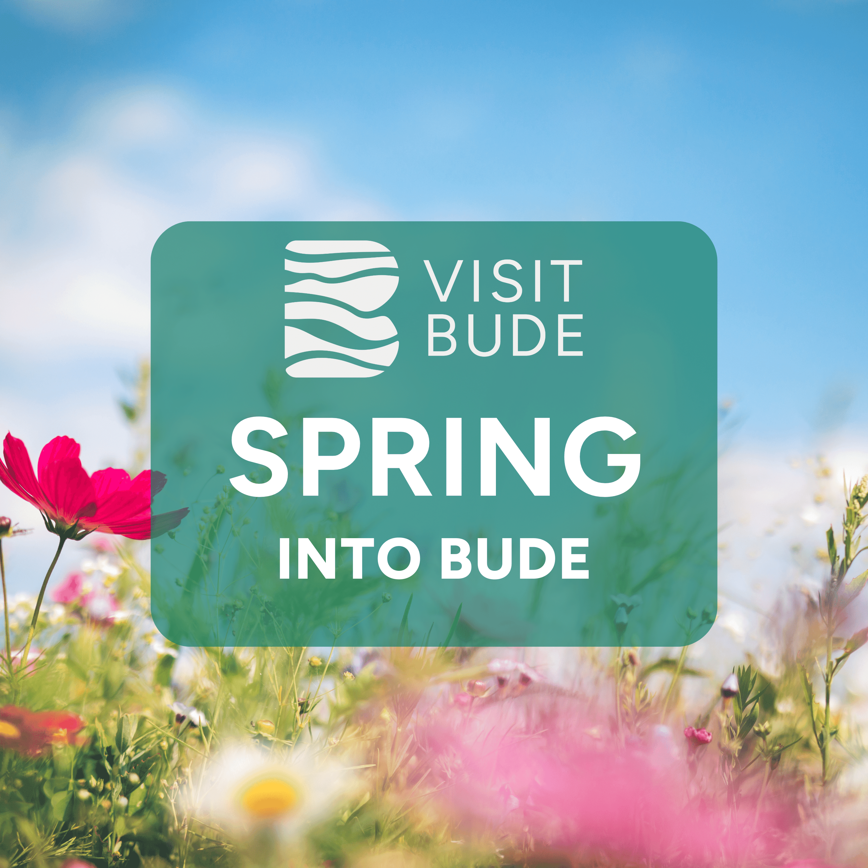 Spring into Bude