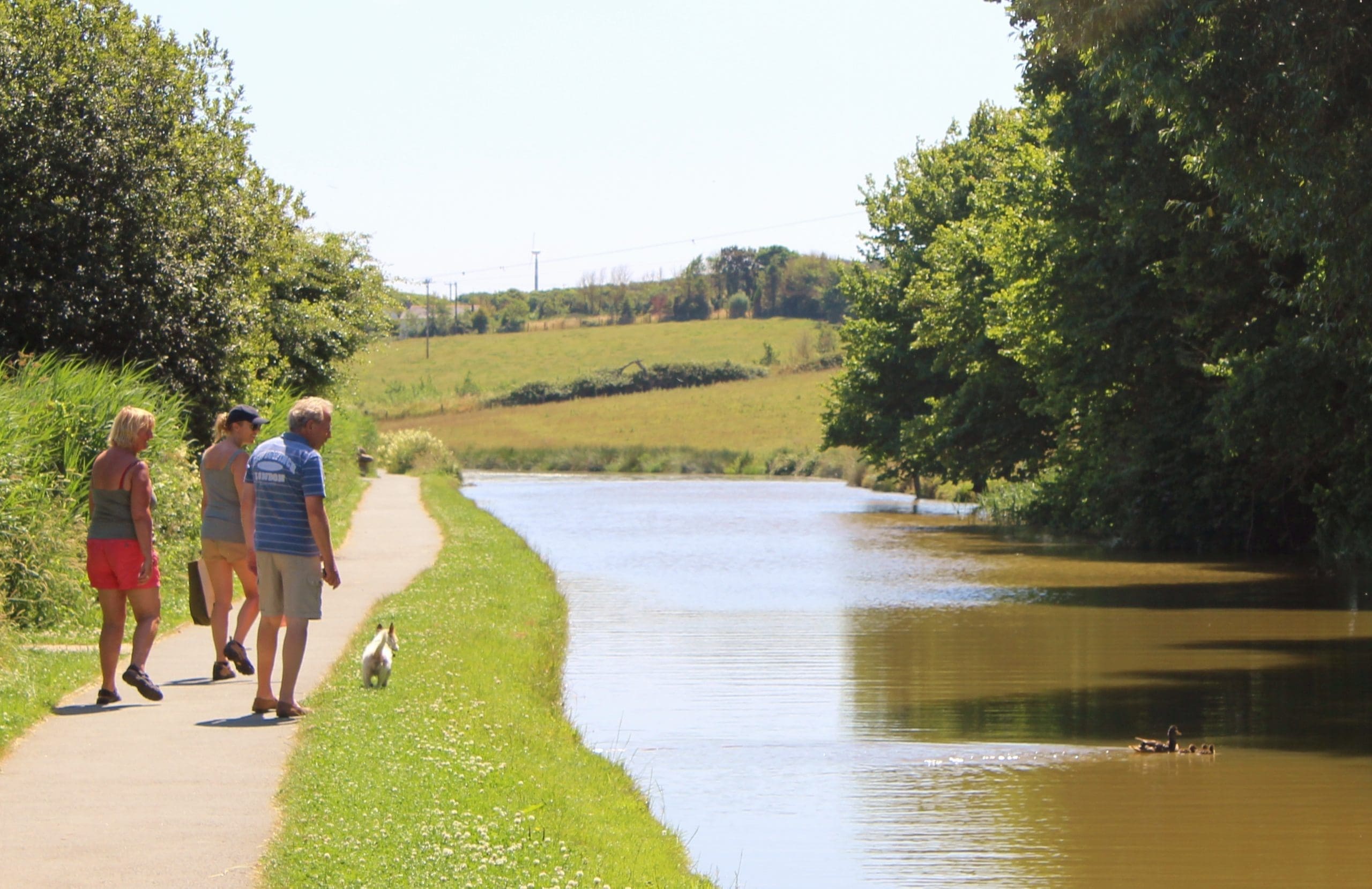 Fun on the Bude Canal: A Perfect Day Out for All Ages