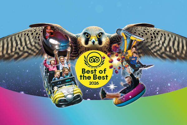 The Milky Way Adventure Park