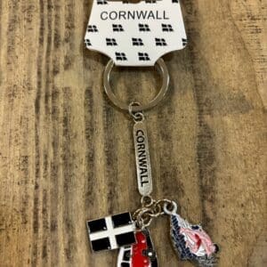 Surfer, Van & Cornish Flag Keyring