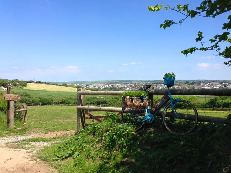 Cerenety Eco Campsite